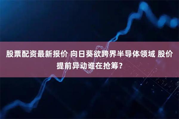 股票配资最新报价 向日葵欲跨界半导体领域 股价提前异动谁在抢筹？