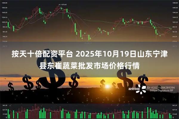 按天十倍配资平台 2025年10月19日山东宁津县东崔蔬菜批发市场价格行情