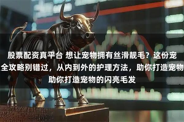 股票配资真平台 想让宠物拥有丝滑靓毛？这份宠物毛发护理全攻略别错过，从内到外的护理方法，助你打造宠物的闪亮毛发