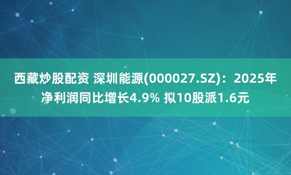 西藏炒股配资 深圳能源(000027.SZ)：2025年净利润同比增长4.9% 拟10股派1.6元